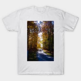 Sunny Fall Road T-Shirt